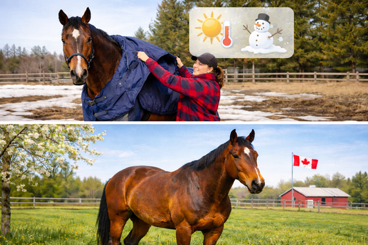 two hores outside one with a blanket and one without it 