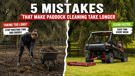 5 Mistakes That Make Paddock Cleaning Take Longer