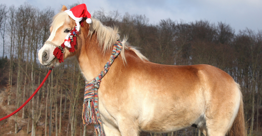 The Ultimate Christmas Gift Guide for Horse Owners