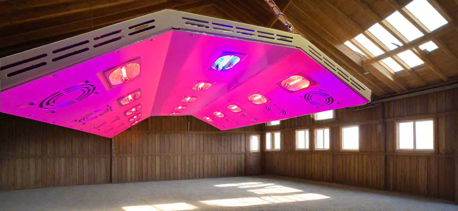 Purple Paddock Blade display